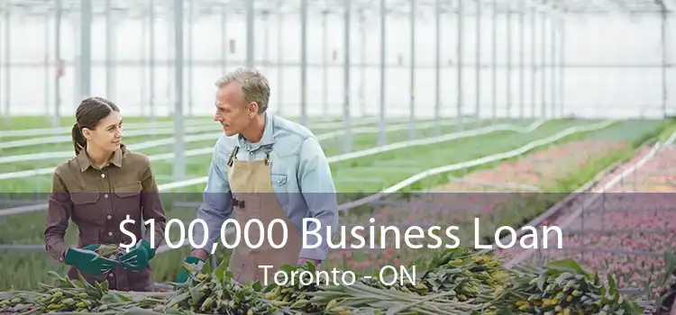 $100,000 Business Loan Toronto - ON