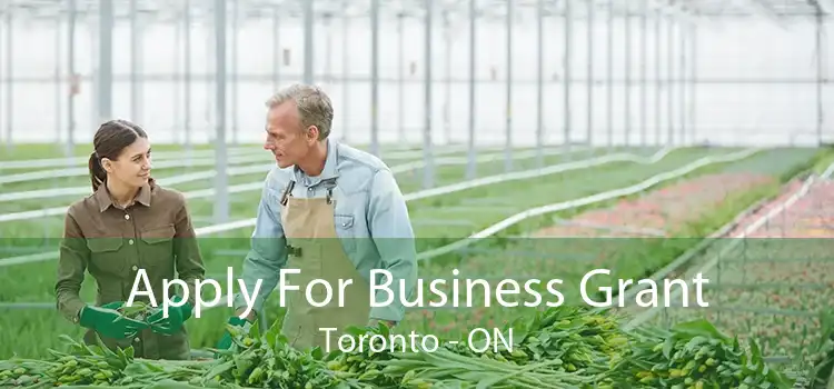 Apply For Business Grant Toronto - ON